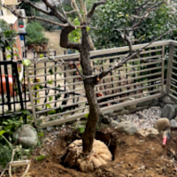 サービス／作業一覧 - 川崎市の植木屋 千咲園